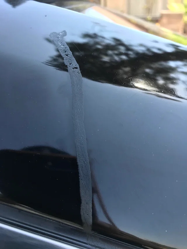 Coulure de sève séchée sur la carrosserie noire d'une voiture
